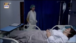 Noor Jahan - Episode 15 - 13th July 2024